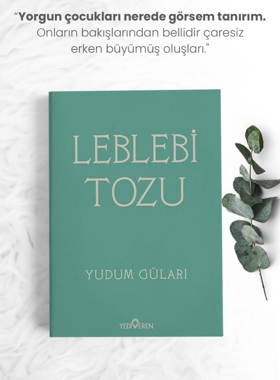 Leblebi Tozu kitap kapağı
